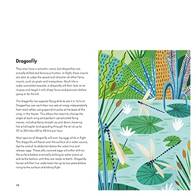 Insects And Minibeasts - A Ladybird Book