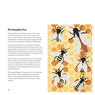 Insects And Minibeasts - A Ladybird Book