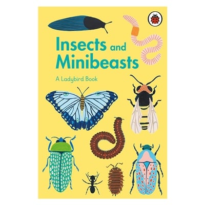 Insects And Minibeasts - A Ladybird Book