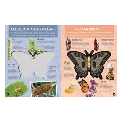 Inside Out Butterfly