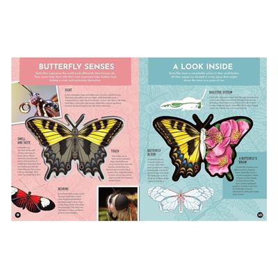 Inside Out Butterfly