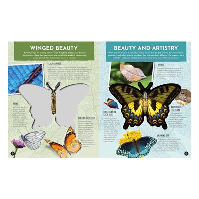 Inside Out Butterfly