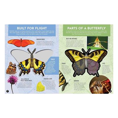 Inside Out Butterfly