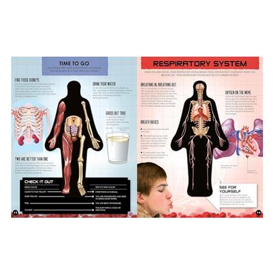 Inside Out Human Body