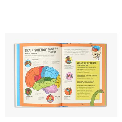 Inside Your Brain