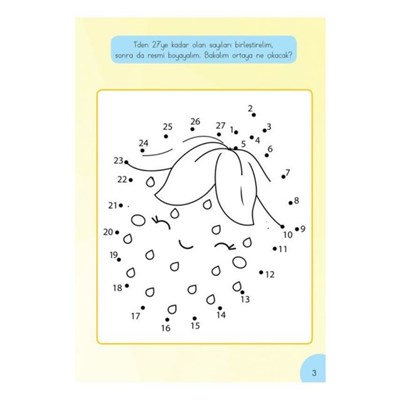 Küçük Dahiler Dikkat Geliştrime 2 (7+ Yaş)