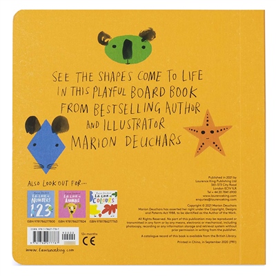 Let S Look At Shapes