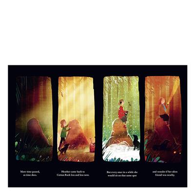 Lights On Cotton Rock