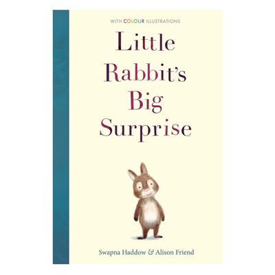 Little Rabbits Big Surprise
