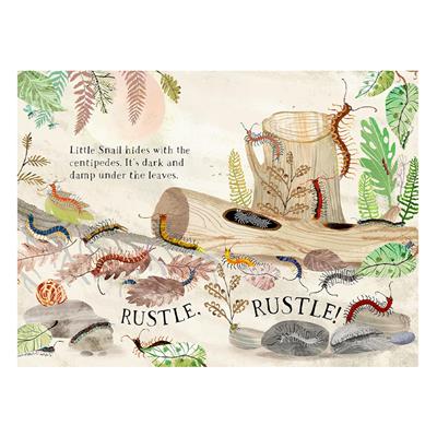Little Snail s Book Of Bugs