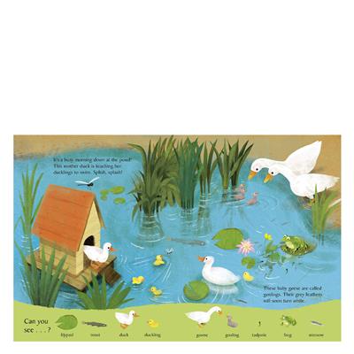 Look And Say What You See On The Farm