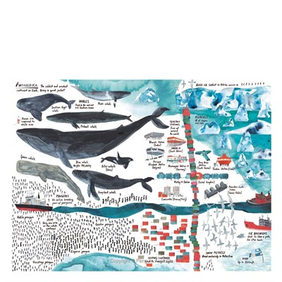 Lots - The Diversity Of Life On Earth