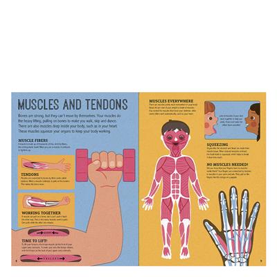 Magic Magnifying Glass - My Amazing Body