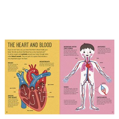 Magic Magnifying Glass - My Amazing Body