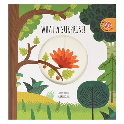 Magic Wheels - What A Surprise