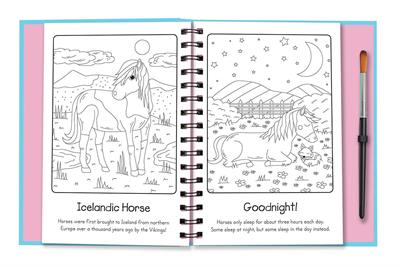 Manes And Tails Horses And Unicorns