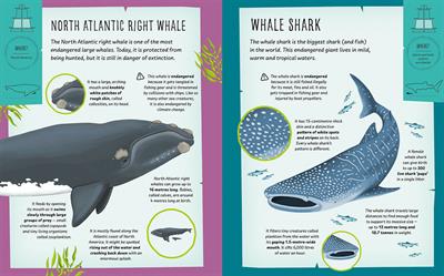 My Incredible Animal S.O.S Expedition