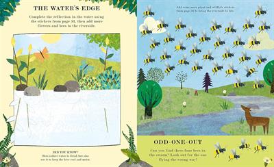 Natures Tiny Miracle - Bee Activity Book