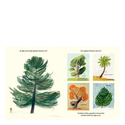 Ne Görürsün Bir Ağaca Bakınca