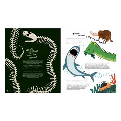 Nosy Crow Theres No Such Thing as a Silly Question