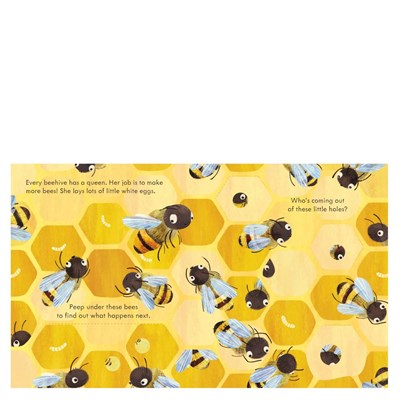 Peep Inside A Beehive