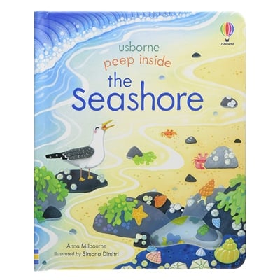 Peep Inside The Seashore