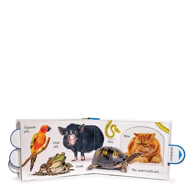 Pet