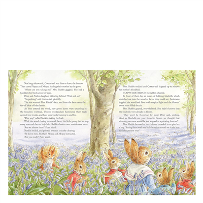 Peter Rabbit - Tales from the Countryside
