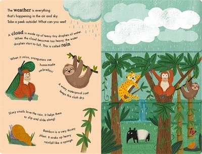 Rain and Shine - A Flip-Flap Book of Weather