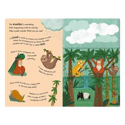 Rain and Shine - A Flip-Flap Book of Weather