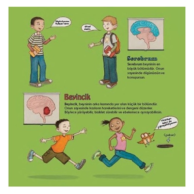 Senin Muhteşem Esnek Beynin