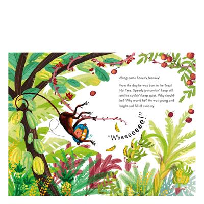 Speedy Monkey - Colour Fiction