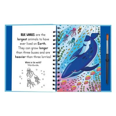 Splish And Splash - Under The Sea