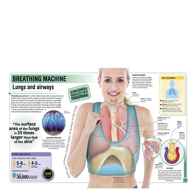 Superhuman Encyclopedia