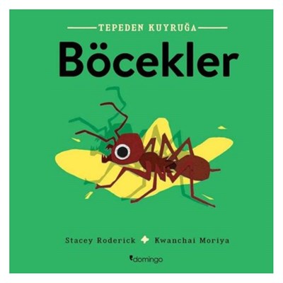 Tepeden Kuyruğa Böcekler
