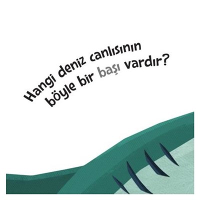 Tepeden Kuyruğa Deniz Canlıları
