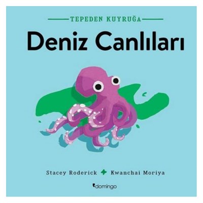 Tepeden Kuyruğa Deniz Canlıları