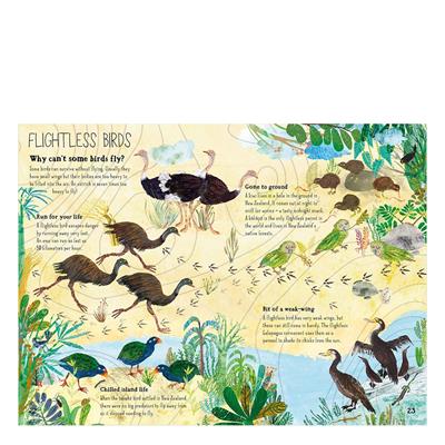 The Big Book Of Birds