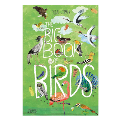 The Big Book Of Birds