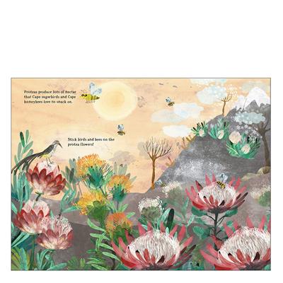 The Big Sticker Book Of Blooms