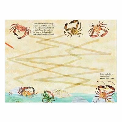 The Big Sticker Book Of The Blue