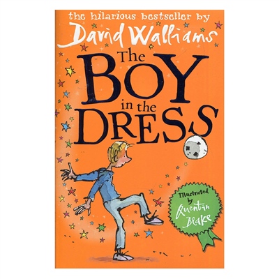 THE BOY IN THE DRESS
