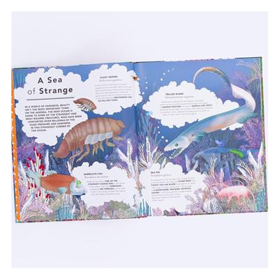 The Fantastical Safari