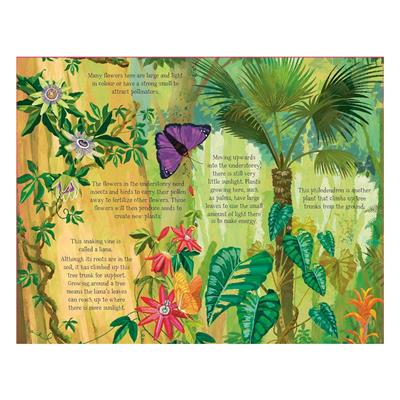 The Forest That Grows Around Me