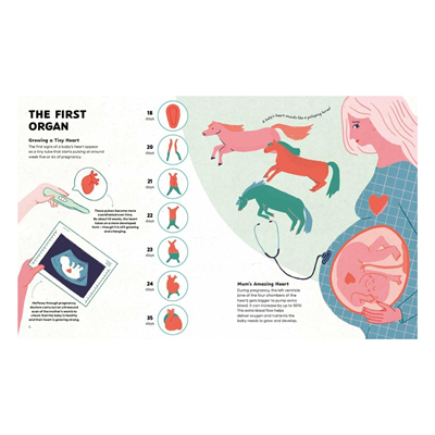 The Heart - History, Science and Lots of Love