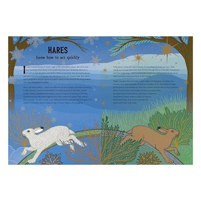 The Hidden Wisdom of Animals