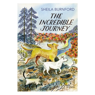 The Incredible Journey