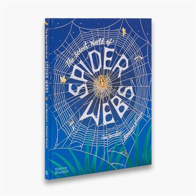 The Secret World of Spiderwebs