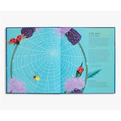 The Secret World of Spiderwebs