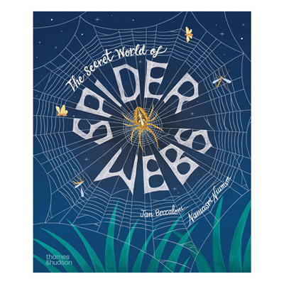 The Secret World of Spiderwebs